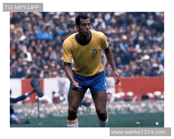 全球足坛五十大传奇球星全解析 成就与风采一网打尽